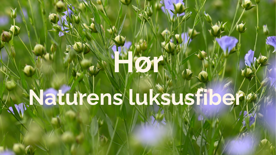 Hør - Naturens luksusfiber