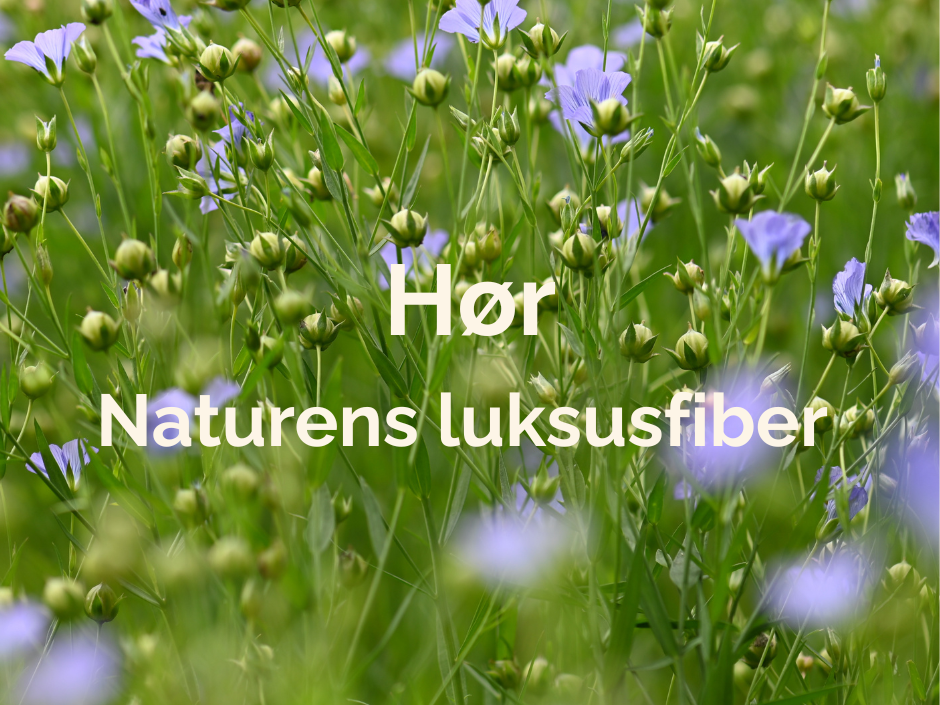 Hør - Naturens luksusfiber