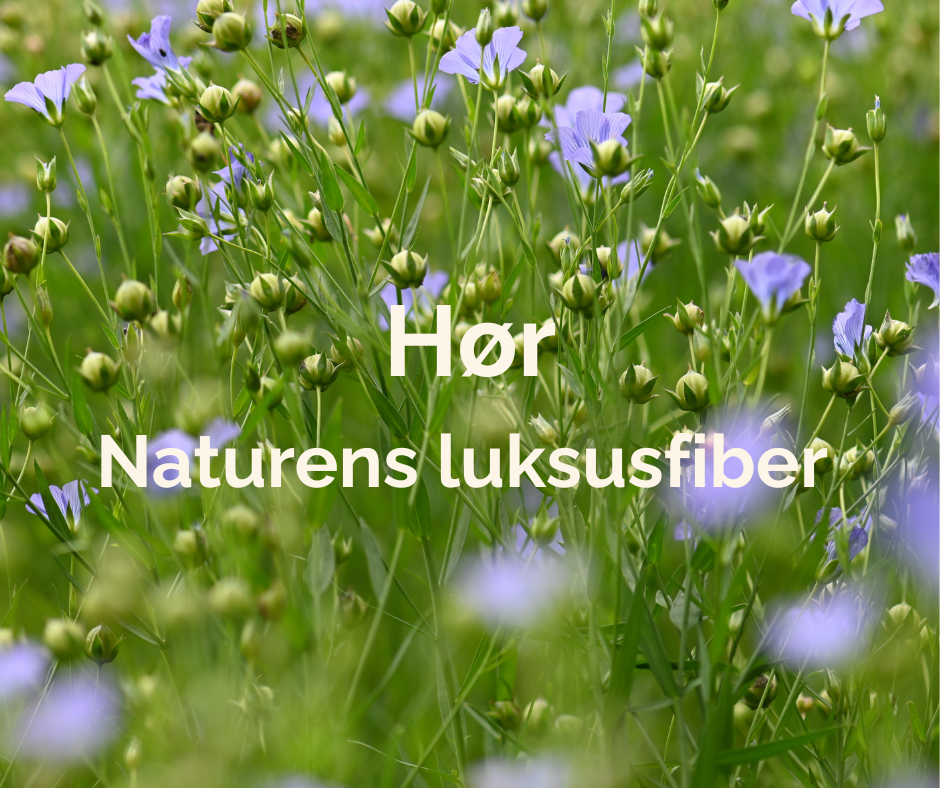 Hør - Naturens luksusfiber