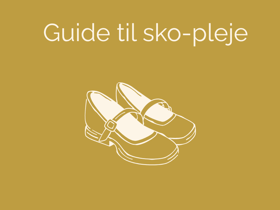 Guide til pleje af dine sko / støvler