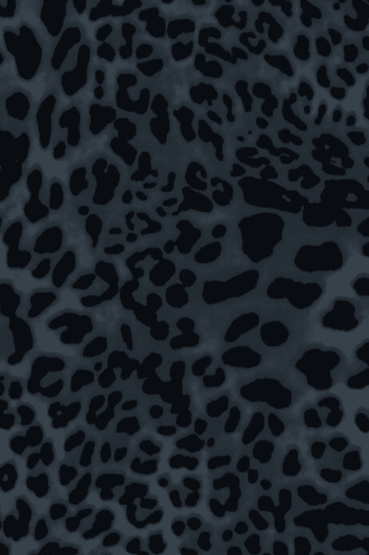 Luxzuz Sigborg T-shirt | Cool meshbluse i gråt leopard print