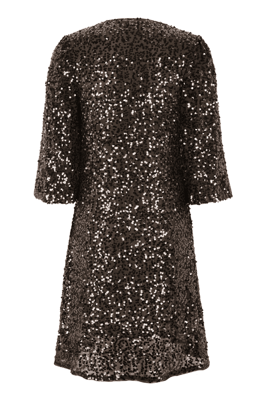 Soft Rebels Audrey Dress | Festlig kjole med pailletter i brun