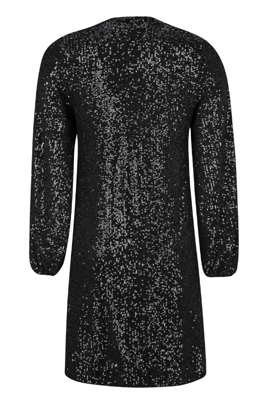 Soft Rebels Aviana Dress | Festlig kjole med pailletter i sort